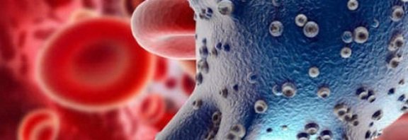 Santé: une « superbactérie » sexuellement transmissible plus dangereuse que le SIDA