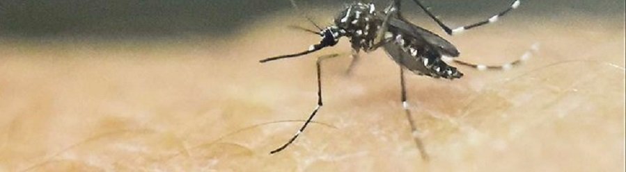 Epidémie de Zika: déjà 329 cas en Haïti